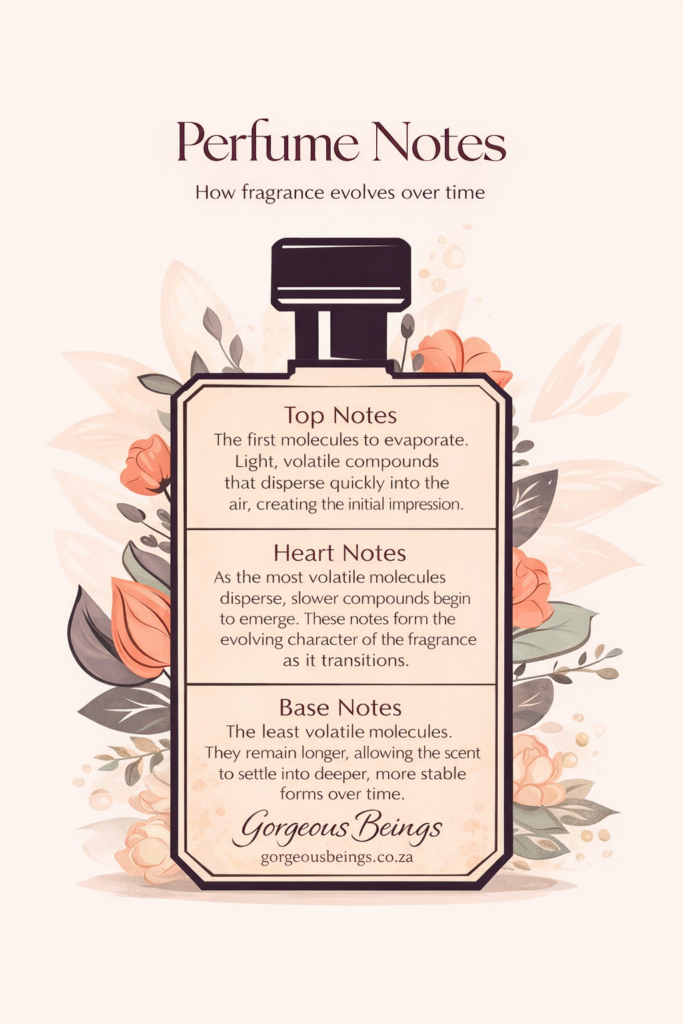 Illustration of a perfume bottle explaining top, heart, and base notes and how fragrance evolves over time.