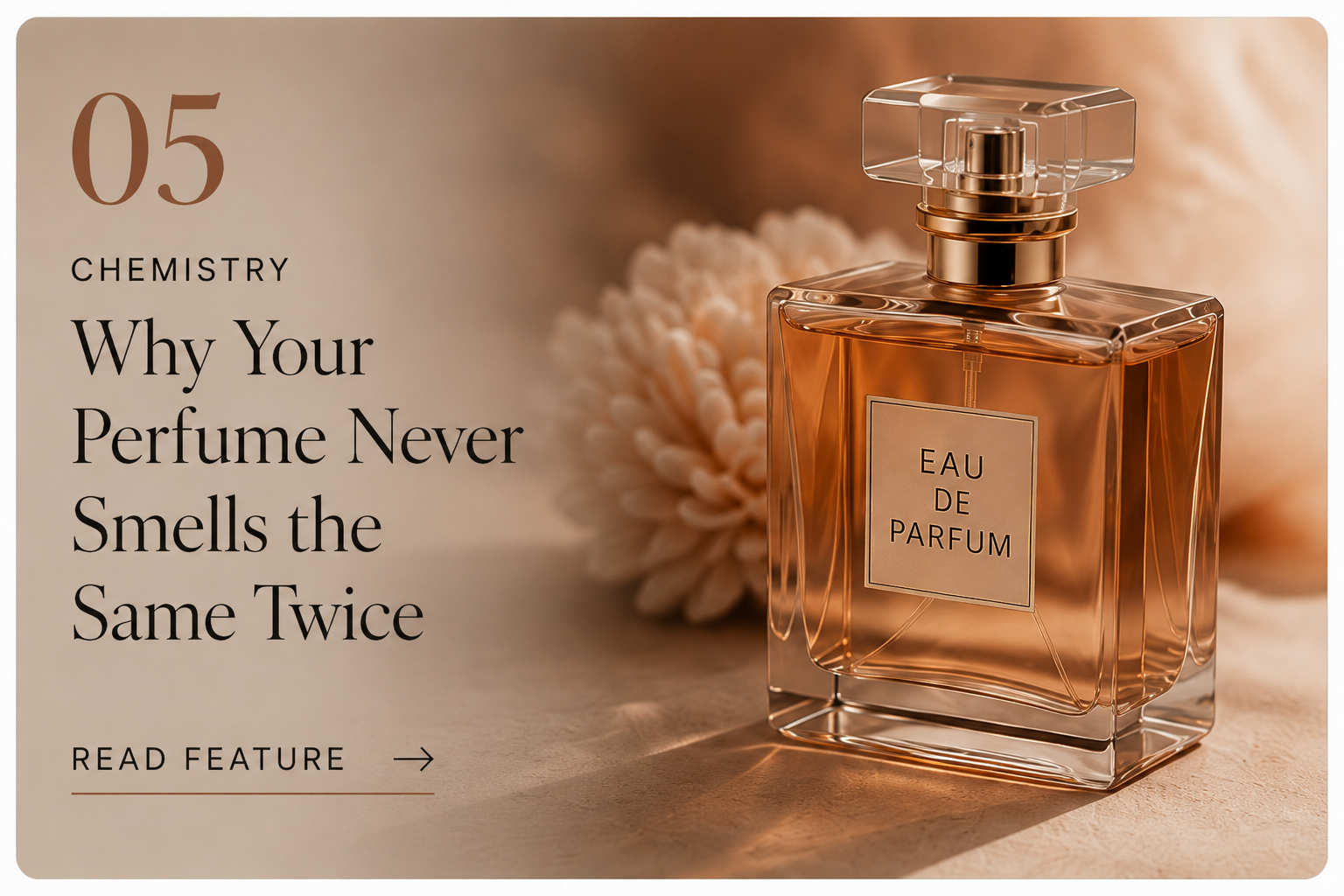 Elegant perfume bottle on a warm-toned surface illustrating a chemistry feature about why perfume smells different over time.
